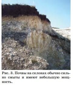 Почвы на склонах обячно сильно смыты и имеют не большую мощность.